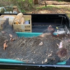 田中式くくり罠ステンレス、下枠、落としセット５個の画像