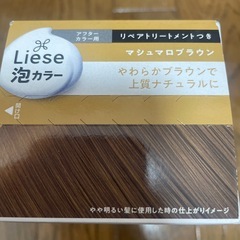 リーゼ　泡カラー　マシュマロブラウンの画像