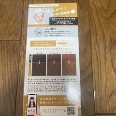 リーゼ　泡カラー　マシュマロブラウンの画像