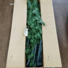 ☆約170cmクリスマスツリー　ぬいぐるみ別売り！の画像