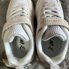 【新品】瞬足16cmの画像