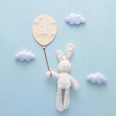 【新品未使用】月齢フォト記録グッズの画像