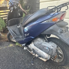 ライブDIO4ストの画像