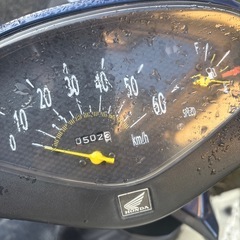 ライブDIO4ストの画像