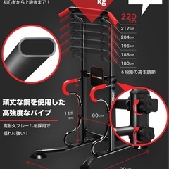 パイクスピーク懸垂マシンの画像