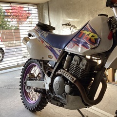 ヤマハTT250R モトクロス　エンデューロ　林道　カスタム　自賠責2年付の画像