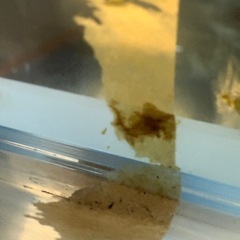 【12月18日引き取り限定】ハイセンス　282L冷蔵庫　HR-D2802Sの画像