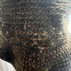 レディース　帽子　中古の画像