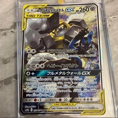 ルカリオ&メルメタルの画像