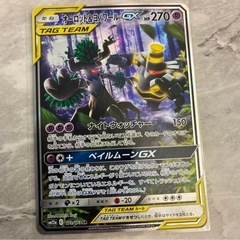 ルカリオ&メルメタルの画像