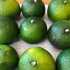 ご予約分家庭用果物③ スイートスプリング 2kgの画像