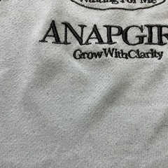 ANAP アイスブルー　150の画像