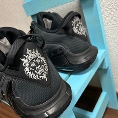 レブロン　フィットネス7 ２８センチ　小さめです　バッシュの画像