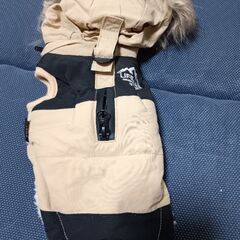 ペット服SSの画像