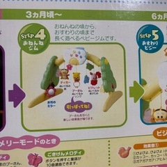 プーメリー　※ジャンク品の画像