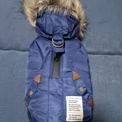 ペット服SSの画像