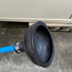 【未使用】スッポンの画像