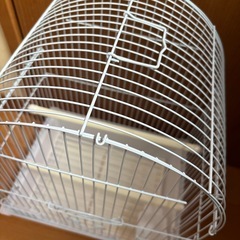 新品・未使用　鳥かご　バードアーチの画像