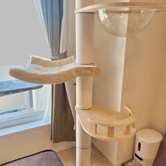 【11/28まで掲載】 キャットタワー（突っ張り棒タイプ）の画像