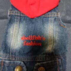 ペット服SSの画像