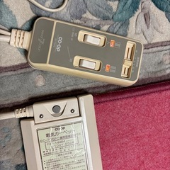 生協のホットカーペットの画像