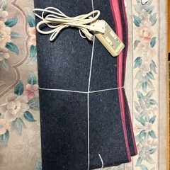 生協のホットカーペットの画像