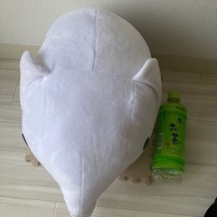 Bruna Animalの画像