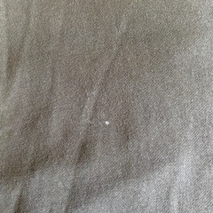 カジュアルパーカー メンズ グリーン サイズLの画像