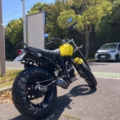 TW200の画像