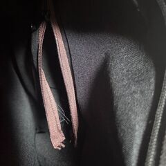 像柄　帯　アジアン　トートバック　手さげの画像