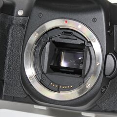 Canon/EOS 40D/ボディ/デジタル一眼レフ ⑥の画像