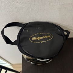 ハーゲンダッツ 保冷バッグの画像