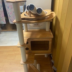決まりました。キャットタワーの画像
