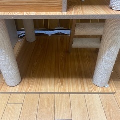 決まりました。キャットタワーの画像