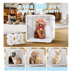 ペットドライルームの画像