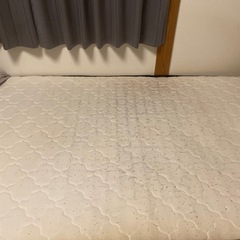 セミダブルベットの画像