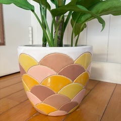 アグラオネマ52cm 陶器デザイン鉢 観葉植物の画像