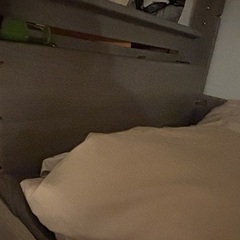 ほぼ新品ニトリの2段ベッドの画像