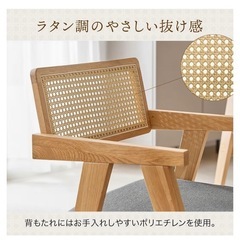 ダイニングチェア2脚セット(LOWYA人気商品)の画像