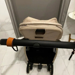 24年購入サムペインゴールドシックミニョンの画像