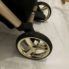 24年購入サムペインゴールドシックミニョンの画像