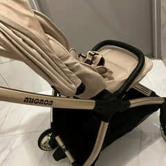 24年購入サムペインゴールドシックミニョンの画像