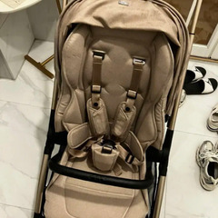 24年購入サムペインゴールドシックミニョンの画像