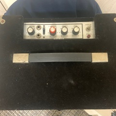 POLYTONE Mini Brute IIの画像