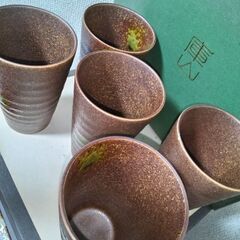 未使用 美濃焼　庫山窯 フリーカップ大サイズ揃 5客　大角皿１枚 古窯の旅の画像