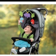 フィッシャープライス ベビーどうぶつえん デラックスジム＆メリーの画像