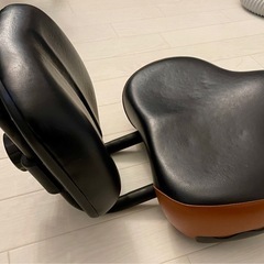 自転車サドル 背もたれ付きの画像
