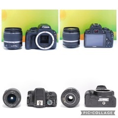 最終価格‼️🔰初心者おすすめ🔰 Canon EOS kiss X7 レンズセット EF-S　スナップ写真 の画像