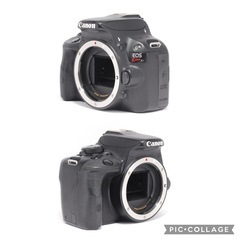 最終価格‼️🔰初心者おすすめ🔰 Canon EOS kiss X7 レンズセット EF-S　スナップ写真 の画像