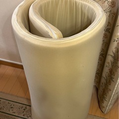 トゥルースリーパーシングルの画像